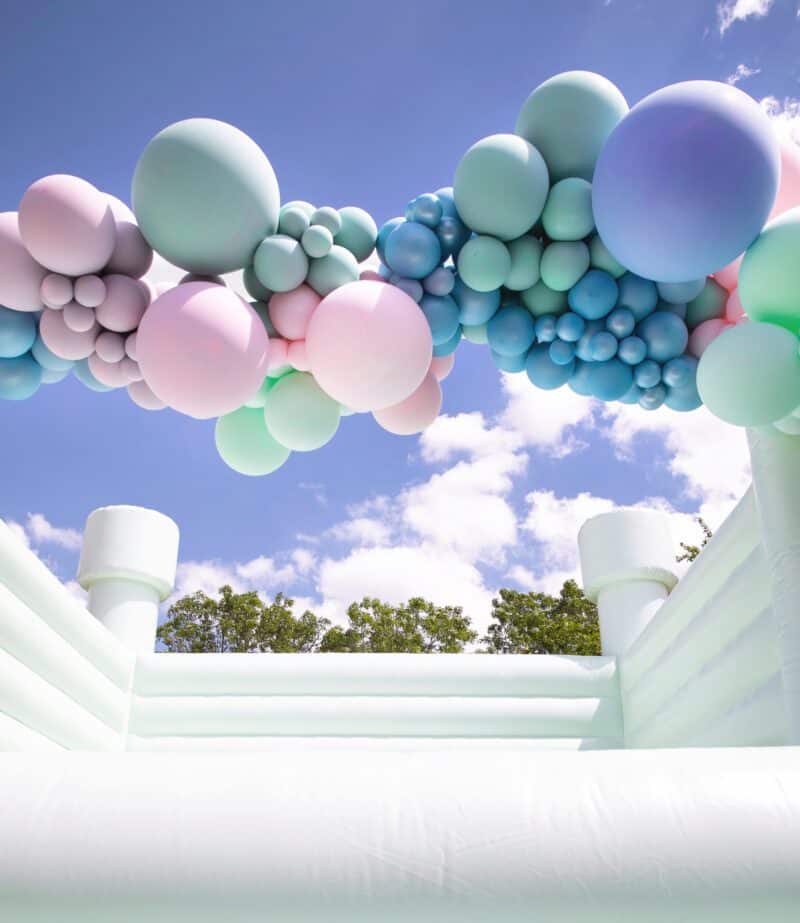 MINT Bouncy Castle - Image 6